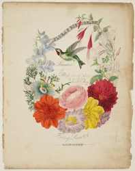 Präsentationsseite, Blumengirlande und Kolibri, aus Flora